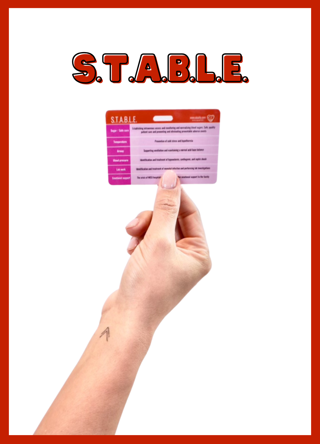 stable card