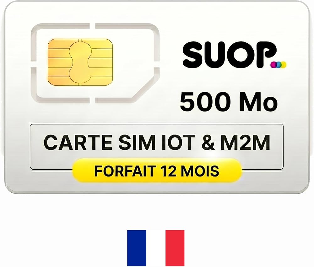 Low-Fee Prepaid Option