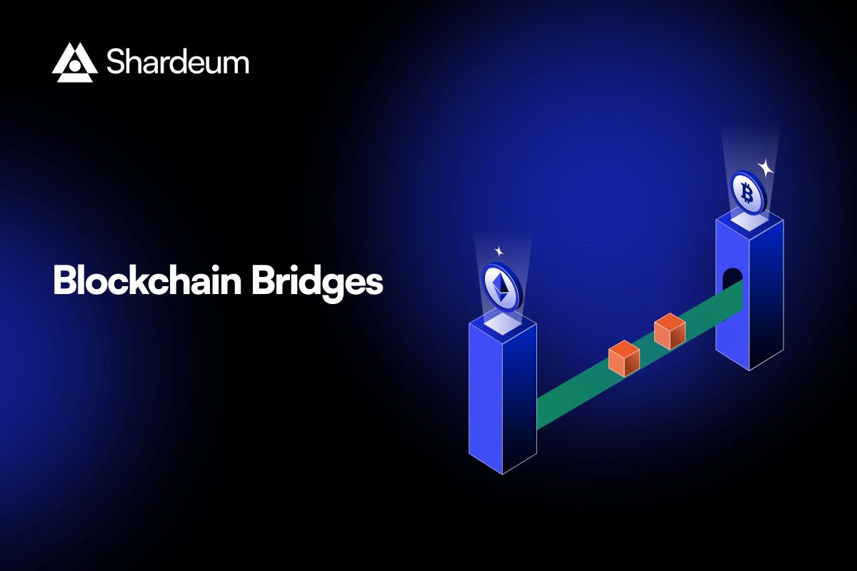 cross-chain blockchain bridges icon